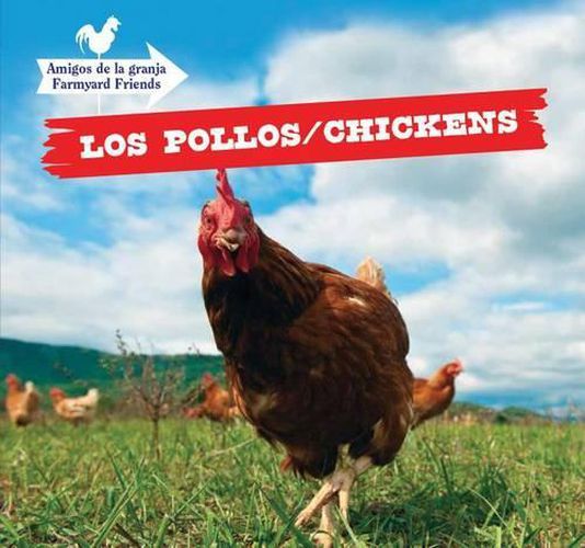 Cover image for Los Pollos / Chickens