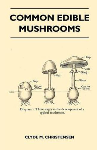 Cover image for Common Edible Mushrooms