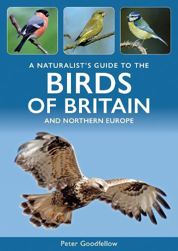 Cover image for A Naturalist's Guide to the Birds of Britain and Northern Europe