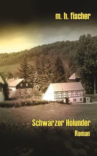 Cover image for Schwarzer Holunder