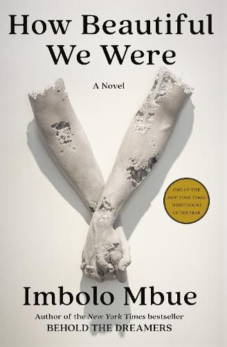 How Beautiful We Were: A Novel