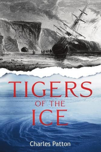 Cover image for Tigers of the Ice