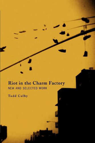 Cover image for Riot in the Charm Factory: New and Selected Work