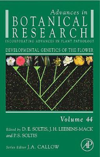 Cover image for Developmental Genetics of the Flower: Advances in Botanical Research