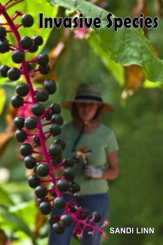 Cover image for Invasive Species