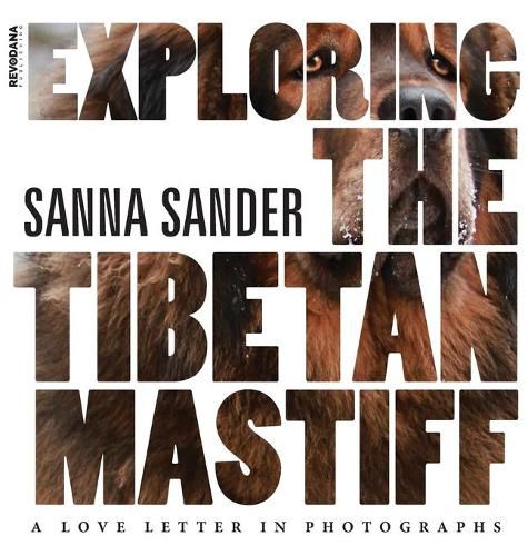 Cover image for Exploring the Tibetan Mastiff: A Love Letter in Photographs