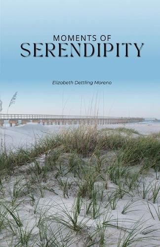 Cover image for Moments of serendipity