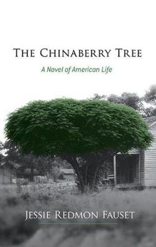 Cover image for The Chinaberry Tree: A Novel of American Life