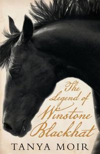 Cover image for The Legend of Winstone Blackhat