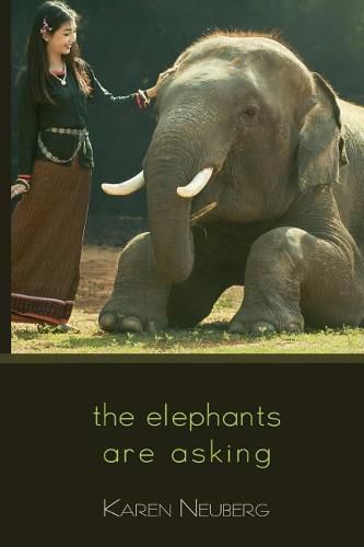 Cover image for The Elephants Are Asking