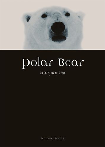 Cover image for Polar Bear