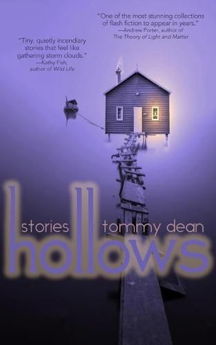 Cover image for Hollows