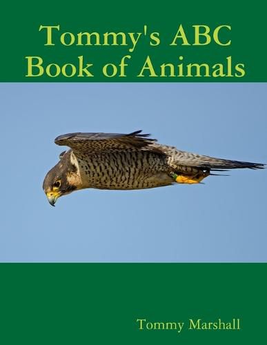 Cover image for Tommy's ABC Book of Animals