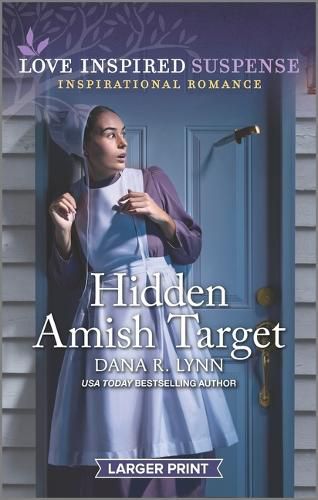 Cover image for Hidden Amish Target