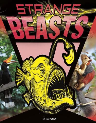 Cover image for Strange Beasts