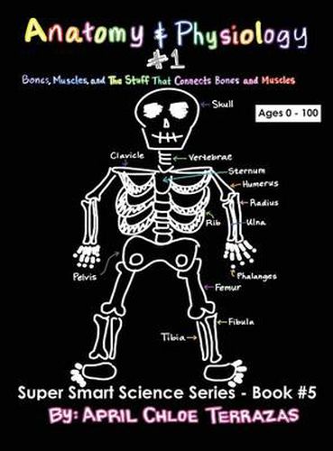 Cover image for Anatomy & Physiology Part 1: Bones, Muscles, and the Stuff That Connects Bones and Muscles