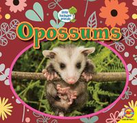 Cover image for Opossums