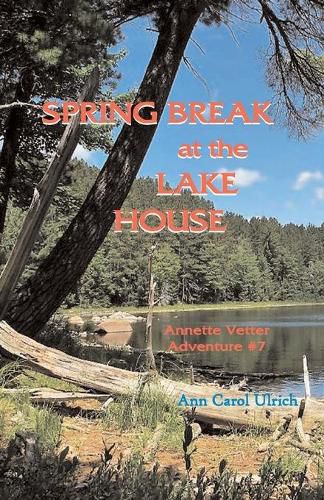 Cover image for Spring Break at the Lake House