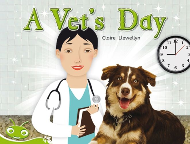 Cover image for Bug Club Level 13 - Green: A Vet's Day (Reading Level 13/F&P Level H)