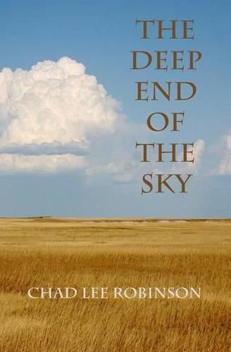 Cover image for The Deep End of the Sky