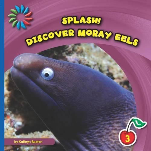 Cover image for Discover Moray Eels