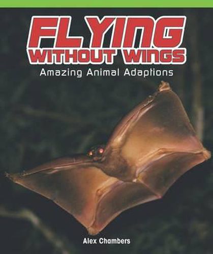 Cover image for Flying Without Wings: Amazing Animal Adaptations