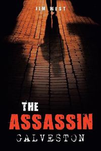 Cover image for The Assassin Galveston