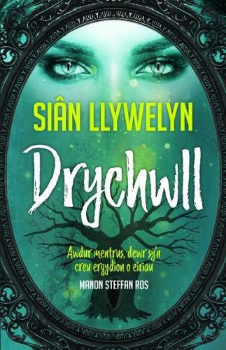 Cover image for Drychwll