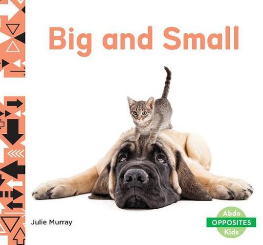 Cover image for Big and Small