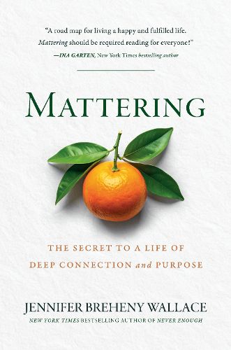 Cover image for Mattering