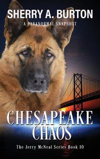 Cover image for Chesapeake Chaos