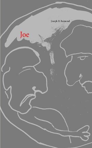 Cover image for Joe