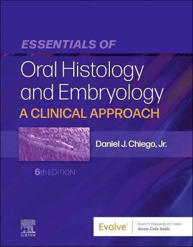 Cover image for Essentials of Oral Histology and Embryology