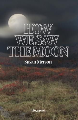 Cover image for How We Saw the Moon