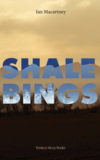 Cover image for Shale Bings