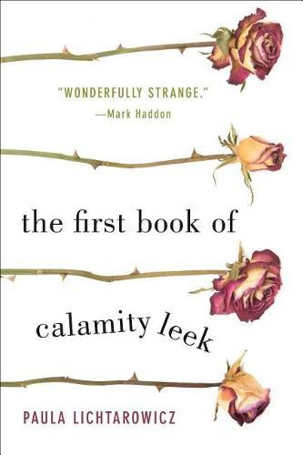 Cover image for The First Book of Calamity Leek