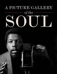 Cover image for A Picture Gallery of the Soul