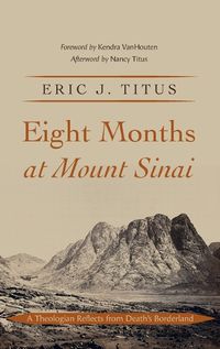 Cover image for Eight Months at Mount Sinai