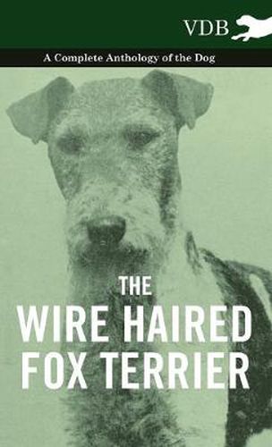 Cover image for The Wire Haired Fox Terrier - A Complete Anthology of the Dog