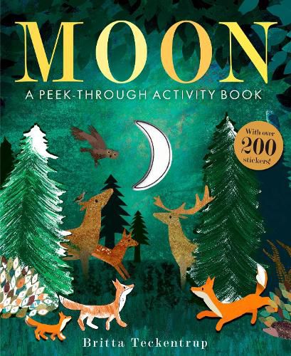 Cover image for Moon: A Peek-Through Activity Book: With over 200 stickers