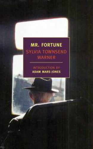 Cover image for Mr. Fortune