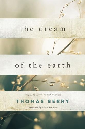 Cover image for The Dream Of The Earth