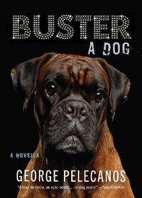 Cover image for Buster: A Dog