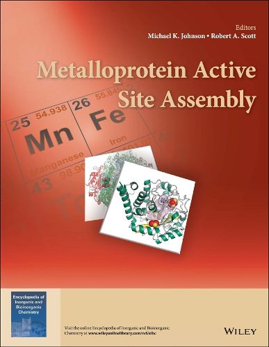 Cover image for Metalloprotein Active Site Assembly