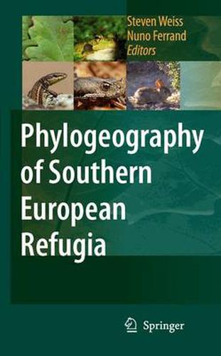 Cover image for Phylogeography of Southern European Refugia: Evolutionary perspectives on the origins and conservation of European biodiversity