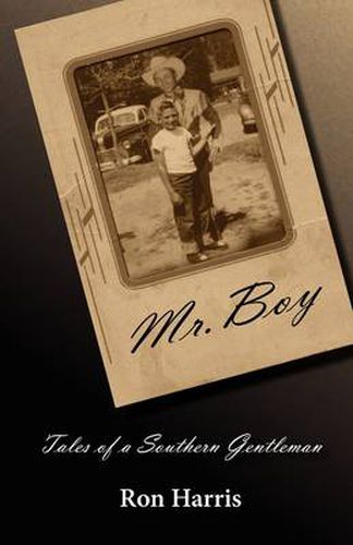 Cover image for Mr. Boy