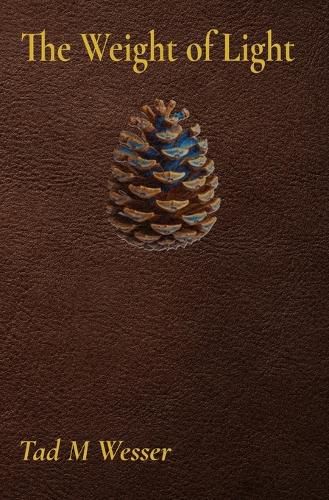 Cover image for The Weight of Light