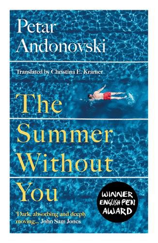 Cover image for The Summer Without You