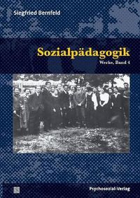 Cover image for Sozialpadagogik