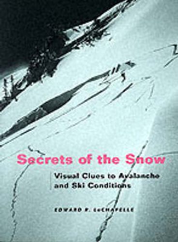 Cover image for Secrets of the Snow: Visual Clues to Avalanche and Ski Conditions